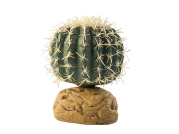 Obrázek Rostlina EXO TERRA Barrel Cactus 9 cm 