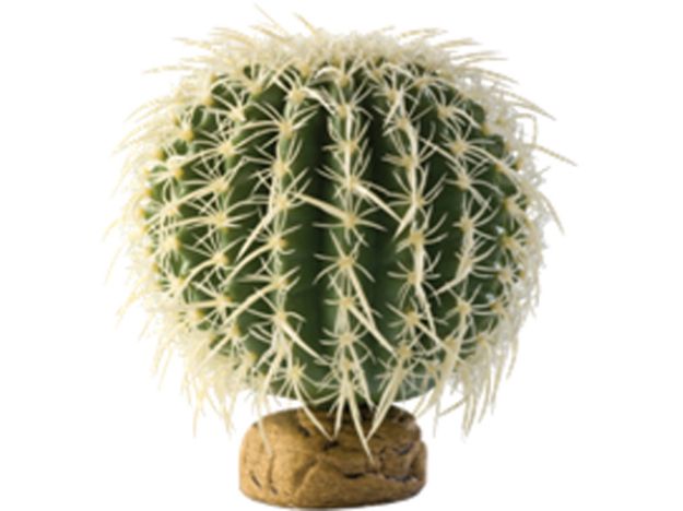 Obrázek Rostlina EXO TERRA Barrel Cactus 17 cm 