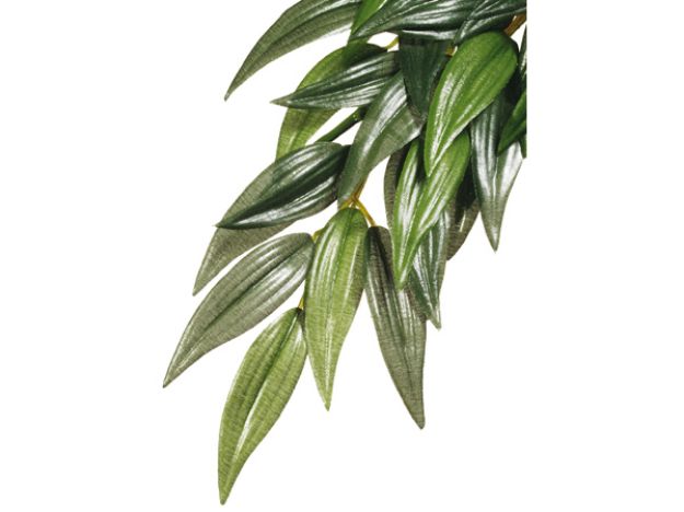 Obrázek Rostlina EXO TERRA Rucus 55 cm 