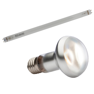 Picture for category fluorescent lamps, light bulbs, lamps