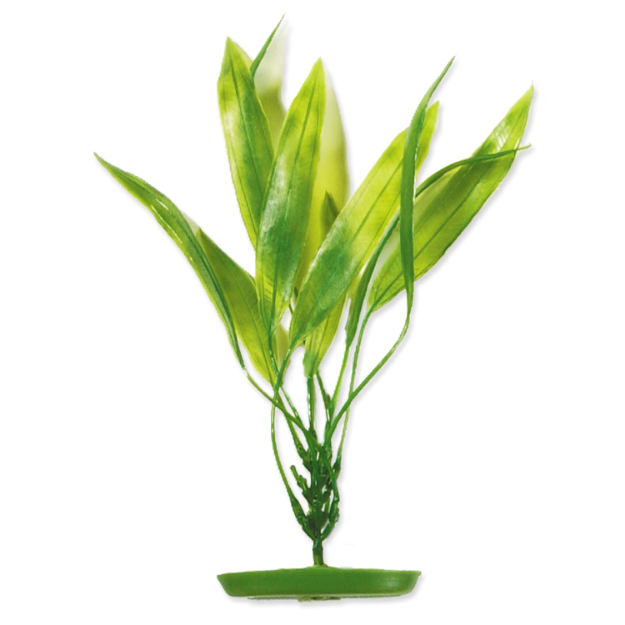 Obrázek Rostlina MARINA Amazon Sword Plant 30 cm 